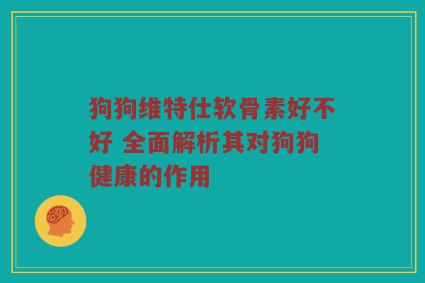 狗狗维特仕软骨素好不好 全面解析其对狗狗健康的作用 狗狗维特仕软骨素好不好 全面解析其对狗狗健康的作用