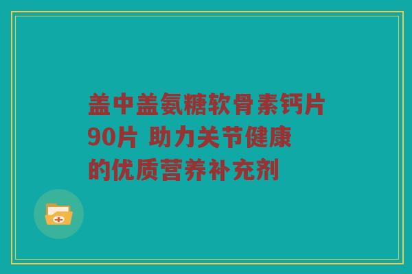 盖中盖氨糖软骨素钙片90片 助力关节健康的优质营养补充剂 盖中盖氨糖软骨素钙片90片 助力关节健康的优质营养补充剂