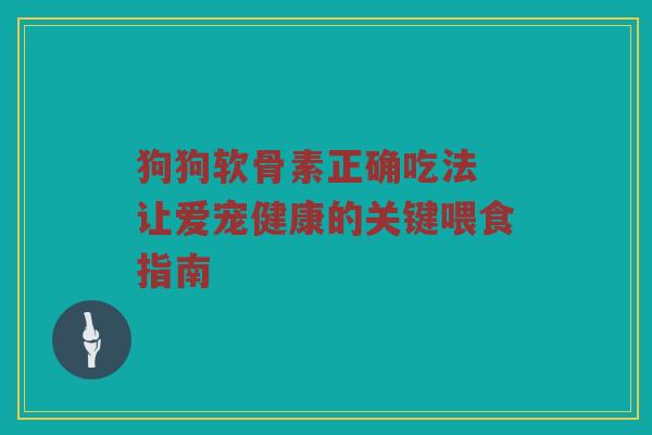 狗狗软骨素正确吃法 让爱宠健康的关键喂食指南 狗狗软骨素正确吃法 让爱宠健康的关键喂食指南