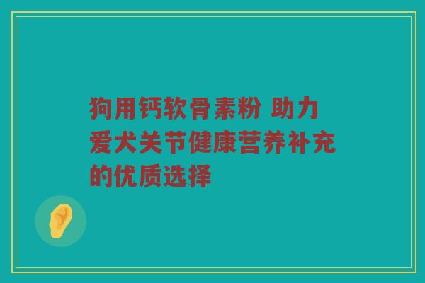 狗用钙软骨素粉 助力爱犬关节健康营养补充的优质选择 狗用钙软骨素粉 助力爱犬关节健康营养补充的优质选择