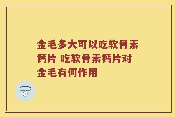 金毛多大可以吃软骨素钙片 吃软骨素钙片对金毛有何作用 金毛多大可以吃软骨素钙片 吃软骨素钙片对金毛有何作用