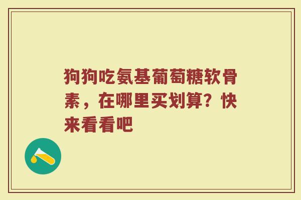 狗狗吃氨基葡萄糖软骨素,在哪里买划算?快来看看吧 狗狗吃氨基葡萄糖软骨素,在哪里买划算?快来看看吧