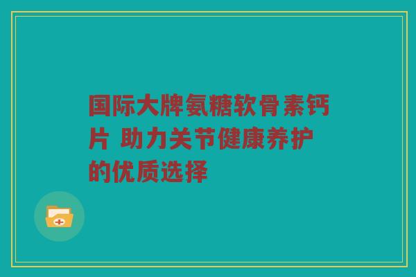 国际大牌氨糖软骨素钙片 助力关节健康养护的优质选择 国际大牌氨糖软骨素钙片 助力关节健康养护的优质选择
