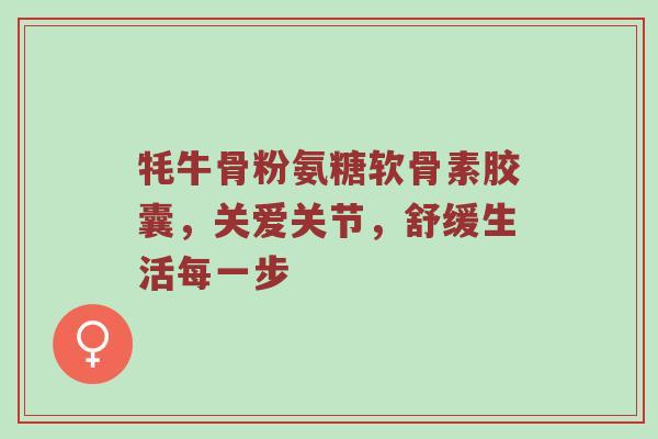 牦牛骨粉氨糖软骨素胶囊,关爱关节,舒缓生活每一步 牦牛骨粉氨糖软骨素胶囊,关爱关节,舒缓生活每一步
