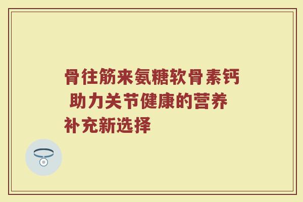 骨往筋来氨糖软骨素钙 助力关节健康的营养补充新选择 骨往筋来氨糖软骨素钙 助力关节健康的营养补充新选择